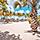 Paradise beach in the Caribbean Ocean