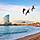 Spain Barcelona Barceloneta Beach City View 
